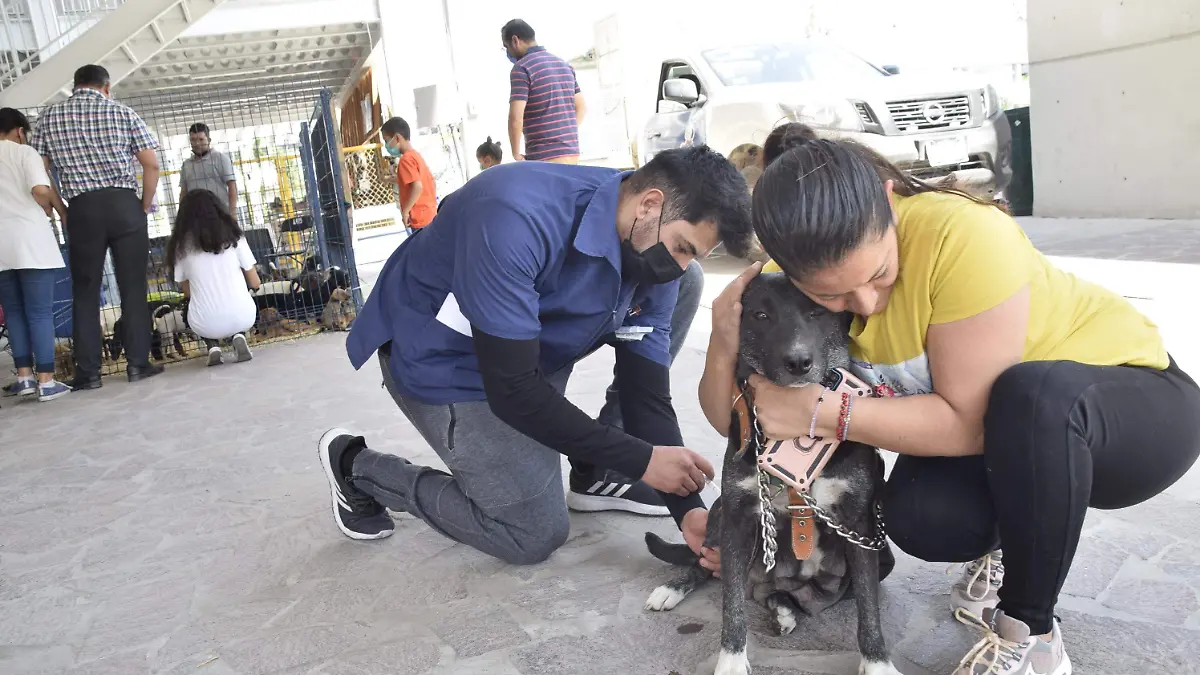 F CARMONA ESTERILIZACION (1)